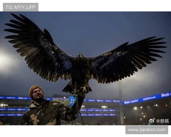 本赛季英格兰三大冠军得主均与鸟类相关 热刺是否也有机会脱颖而出